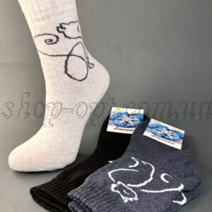 Шкарпетки жіночі махра Кішка ZH-679