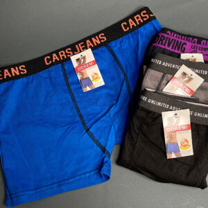 Труси чоловічі асорті однотонні х/б-стрейч ZYY001