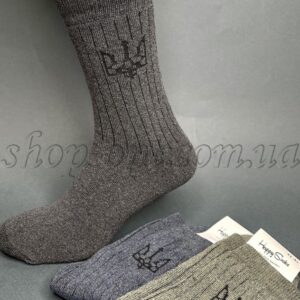 Шкарпетки чоловічі махрові теплі асорті "Patriot-2023