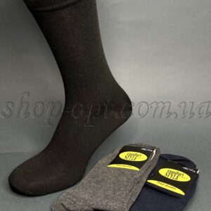 Шкарпетки чоловічі стрейчові асорти Комфорт "Style-002